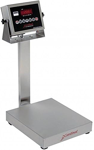 Detecto EB-300-205 Bench Scale, Electronic, 300 lb. Capacity, Stainless Steel, 205 Indicator, 24" x 20"