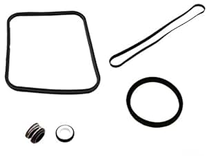 Amazon.com : Pool Pump O-ring Seal Repair Kit For Hayward