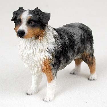 blue merle pastor australiano