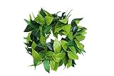 Hawaii Luau Party Maile King Artificial Fabric All Green Leaves Haku Head Band