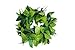 Hawaii Hangover  Luau Party Maile King Artificial Fabric All Green Leaves Haku Head Band,Green Haku,1 Pack