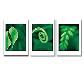 SIGNFORD 3 Panel Canvas Wall Art Canvas Prints...