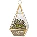 D'Eco Hanging Glass Pyramid Plant Terrarium (5x5x10)- Indoor Tabletop Gold Geometric Planter Terrarium for Succulents, Air Plants, Moss - Home & Office Holiday Decor - Xmas Gift for Plant Lovers