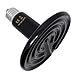 theBlueStone 250 Watt Mini Ceramic Reptile Heat Lamp Bulb E26 No-Light Infrared Heat Emitter for Terrarium Aquarium Amphibian Snake Chickens Brooder Birds Pets