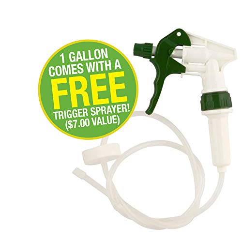 EcoClean Solutions Mold, Mildew & Algae Remover | No-Scrub Stain Remover |Instant Results for All Surfaces (4 Gallons)