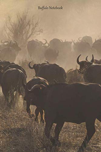 Buffalo Notebook: Small lined Buffalo notebook - Travel Journal to write in - 120 pages - 6"x9"