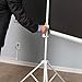 Projector Screen with Stand 100