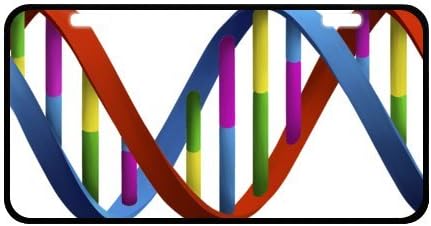 DNA License Plate with Cheap Sale-11.8" X 6.1" inches-Black Trim