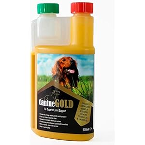 Canine Gold Liquid Turmeric 500ml | 100% Natural Dog Joint Care Supplement | All Ages & Breeds | Supports and Nourishes Hips & Joints | Maintains Mobility | With Aloe Vera, Coconut & Linseed Oil