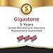 Gigastone 128GB Micro SD Card A1 V10 U1 C10 Class 10 UHS-I Micro SDXC Memory Card, MicroSD to SD Adapter High Speed Full HD Video Android Samsung Nintendo Dashcam Camera Canon Nikon Gopro DJI Drone