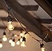 String Light Company Vintage 48-Ft Outdoor Commercial String Lights with 15 Suspended Sockets, 14 Gauge Black Cord (Bulbs not Included)