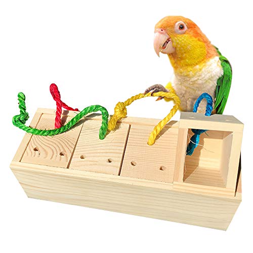 Hamiledyi Bird Foraging Toy Wooden Parrot Training Feeder Toys Creative Colors Identify Food Box Intelligence Toys for Medium and Large Parrots Sun Conures, Caique, Cockatoo