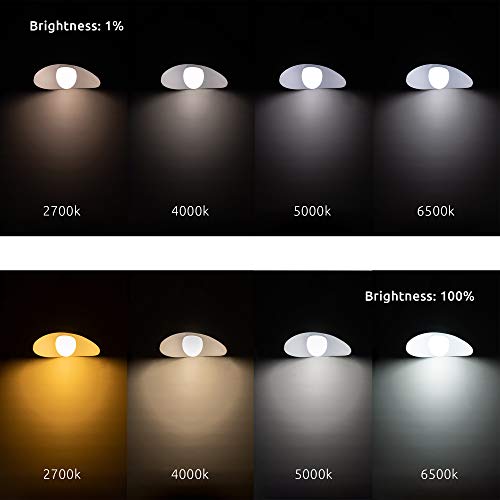 LUMIMAN Smart WiFi Light Bulb, Led RGBCW(RGB+Warm White to Daylight White) Color Changing, Work with Amazon Alexa and… - Image 4