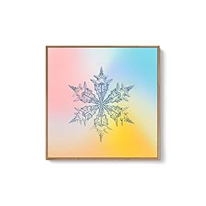 Framed Canvas Wall Art for Living Room, Bedroom Snowflake Theme Canvas Prints for Home Decoration Ready to Hang - 16x16 inches