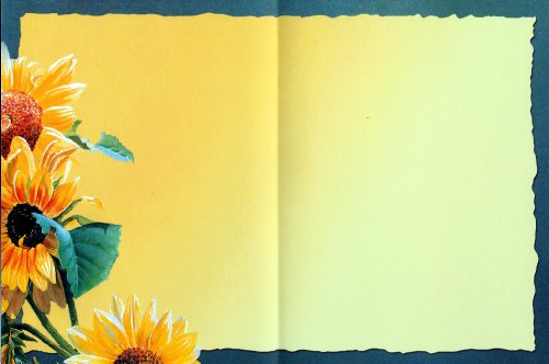 Susan Bourdet's Songbirds - Blank Card Set by Leanin' Tree (AST90634) - 20 cards with full-color interiors and 22 designed envelopes - Thumbnail 6