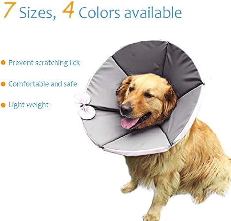 comfy cone pet recovery collar