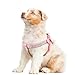 Beirui Soft Suede Leather Dog Harness and Leash Set - Rhinestone Dog Harness Sparkly Crystal Vest & 4 ft Lead for Small Dogs & Cats Pets Chihuahua Schnauzer Yorkshire,Red,Chest for 12-14