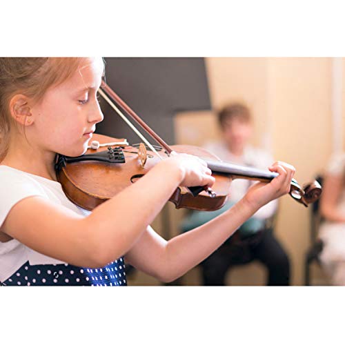 Branger Violin Shoulder Rest for 1/2 and 1/4 Size, with Collapsible and Height Adjustable Feet, Including a Violin Practice Mute