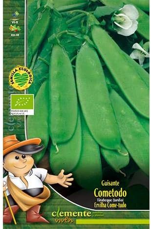 Semillas ecológicas de Guisante Tirabeque (Cometodo): Amazon.es ...