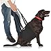 In hand Dog Lift Harness, 2021 Dog Support Harness with Adjustable Support Sling Lift for Canine Aid, Helps with Loss of Stability, Rehabilitation, Old, Joint Injuries and Injured Dogs Walk