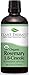 Plant Therapy Organic Rosemary Essential Oil 100% Pure, USDA Certified Organic, Undiluted, Natural Aromatherapy, Therapeutic Grade 100 mL (3.3 oz)