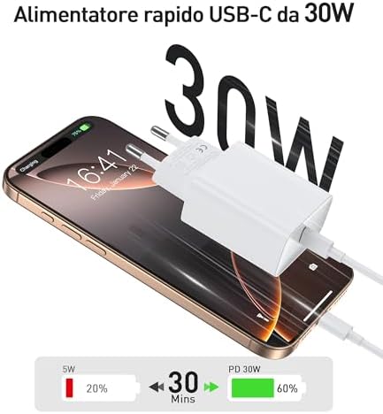 30W Caricatore USB C Rapido for iPhone 17 16 15/17 16 15 Pro/17 16 15 Pro Max/17 Air/16 15 Plus/iPad Pro/Mini/Air, Samsung Galaxy, Tipo C Cavetto Ricarica per USBC Carica Batteria con Cavo 2M