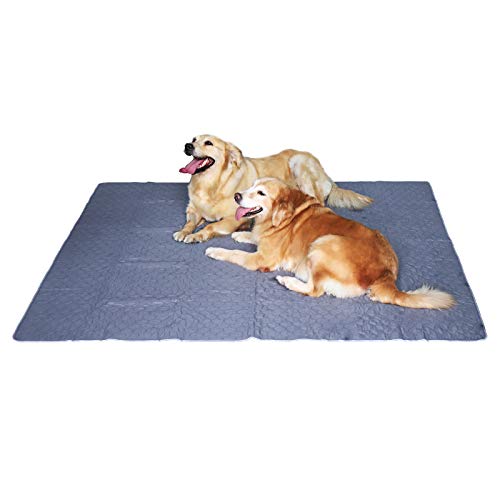 Trusupetta Upgrade Non-Slip Dog Pads Extra Large
