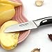 DESLON Chef Knife High Carbon German Stainless Steel Sharp with Ergonomic Handle (Fruit Knife-B-7.1inch)
