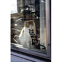 EricauBird Dont let The cat Out no Matter What it Tells You! - Funny Warning Decal, Cats, Pets, Epic, Wall Decals, Sticker, Interior Design, Home Decor Easy to Apply and Removable