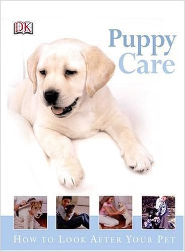 Puppy Care How To Look After Your Pet Amazon Co Uk Bryan Kim 9781405305419 Books