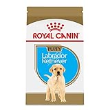 Royal Canin Puppy Labrador Retriever Dry Dog Food (30 lb)