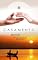 Livro Casamento: investir ou desistir?