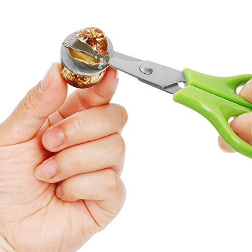 Yarlung 12 Pack Stainless Steel Quail Egg Scissors, Pigeon Egg Cutter