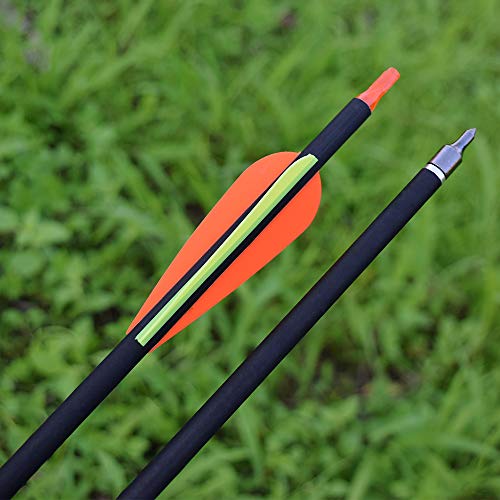 Hunter Ian Archery Carbon Arrow Hunting Arrows 28 Inch with 100 Grian