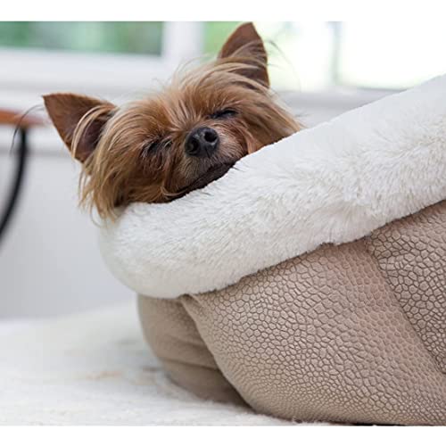 cuddle cups for dogs