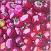100 RED CHERRY HOTS PEPPER (Finger Hots / Hot Cherry Pepper / Hot Chili Pepper / Cherry Chili Pepper / Pimienta) Capsicum Annuum Vegetable Seeds