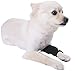 Dog Canine Front Leg Compression Brace Wrap Sleeve Protects Wounds Brace Heals and Prevents Injuries and Sprains Helps with Loss of Stability Caused by Arthritis by My Pro Supports (XXS/XS)