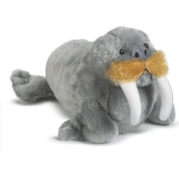 Webkinz