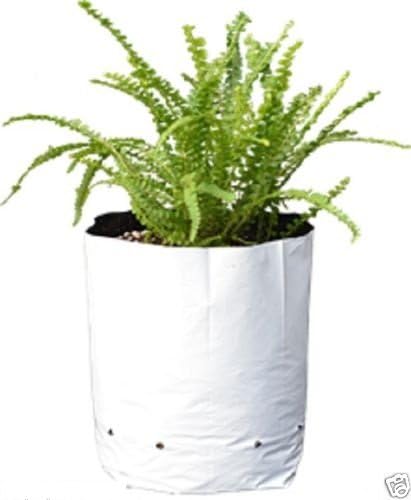 Bay Hydro 1/2 Gallon Black & White Poly Grow Bags 100pc