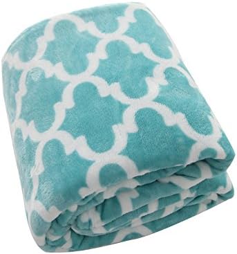 Usual Joy Soft Warm Blanket Picnic Beach Blanket Fleece Blanket Fuzzy Plush Lightweight Throw Couch Bed Blanket Queen Size (Light Blue, 90"90")