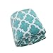 Usual Joy Soft Warm Blanket Picnic Beach Blanket Fleece Blanket Fuzzy Plush Lightweight Throw Couch Bed Blanket King Size (Light Blue, 108