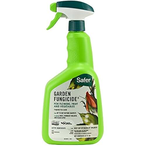 fungicide for roses
