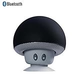 Leacoco Mini Wireless Portable Bluetooth Speakers with Mic and Sucker Portable Small Stereo for iPhone and Android System Equipment Etc. (Black)