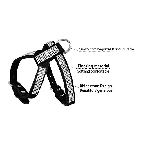 Berry En Velours Paillette Strass Ensemble De Harnais Pour