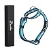 Dazzber Martingale Collars for Dogs, Turquoise Green, Neck 17 Inch -25 Inch, Heavy Duty No Pull No Escape Dog Collar for Medium to Large Dogsthumb 1