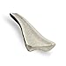 Downtown Pet Supply - Elk Antlers for Dogs - Premium Dog Bones Rich in Calcium, Phosphorus, Vitamins & Minerals - Dog Dental Treats & Natural Dog Chews - Split - 7-9in - Large