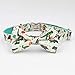 Free Sunday Dinosaur Dog Collar with Bow (L, Dinosaur)thumb 1