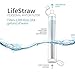 LifeStraw Personal Water Filter