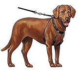 SPORN Dog Halter, Blue, Large