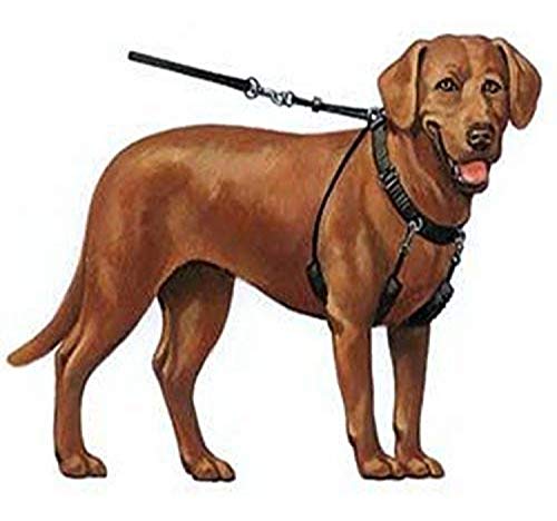 SPORN Dog Halter, Blue, Large